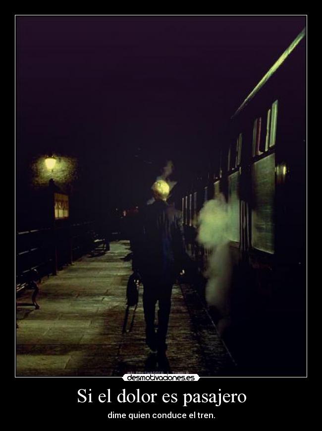 carteles dolor dolor pasajero pero felicidad si ariadnap desmotivaciones