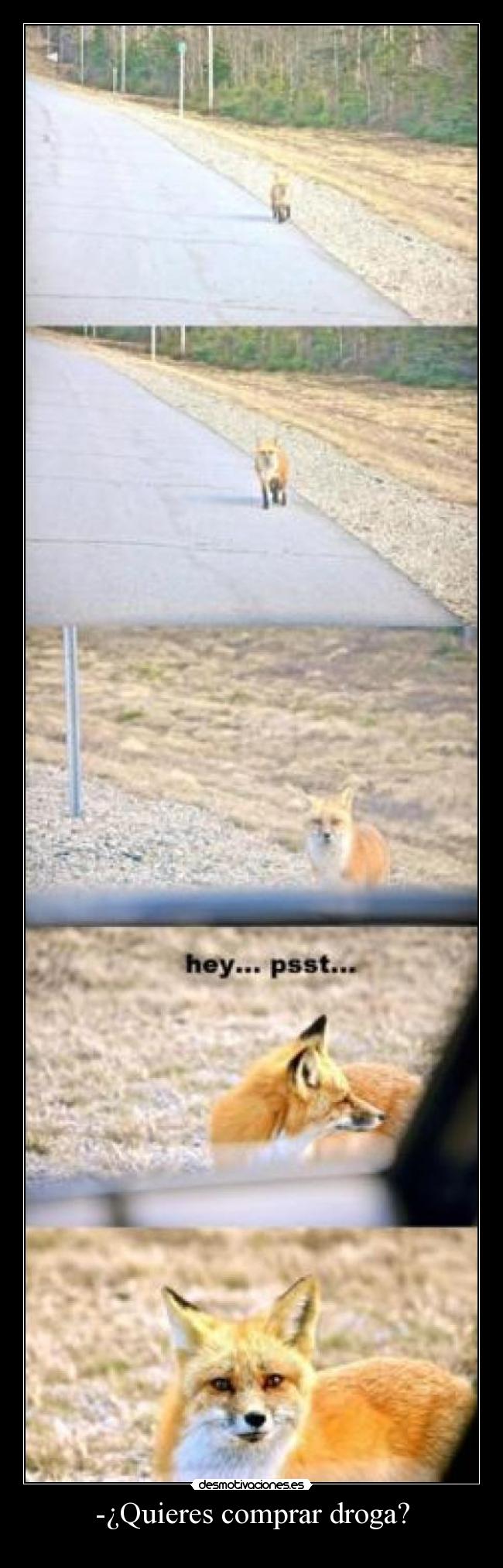 -¿Quieres comprar droga? -