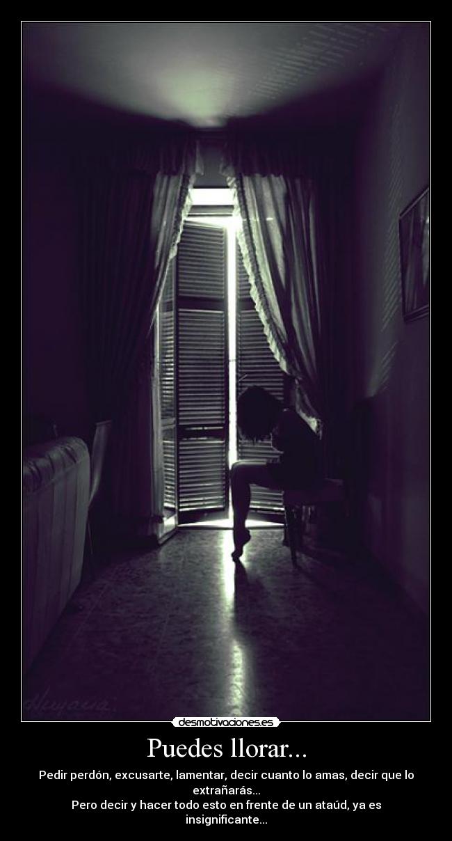 Puedes llorar... - Pedir perdón, excusarte, lamentar, decir cuanto lo amas, decir que lo extrañarás...
Pero decir y hacer todo esto en frente de un ataúd, ya es insignificante...