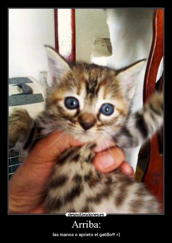 Arriba: - las manos o aprieto el gatillo!!! =)