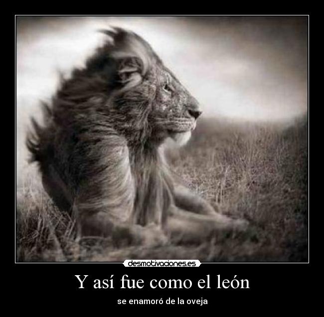 Y así fue como el león -
