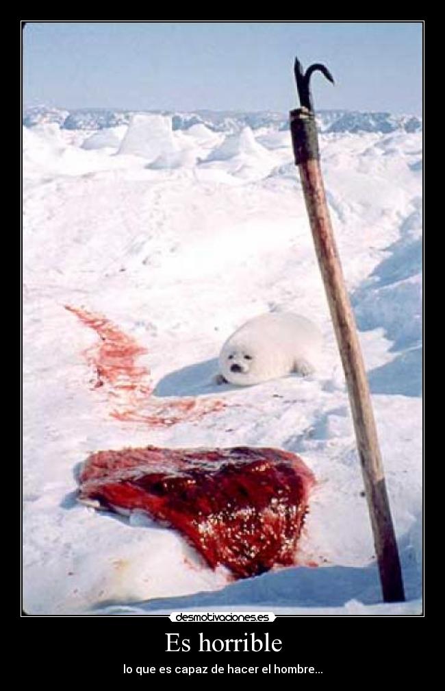 Es horrible - 