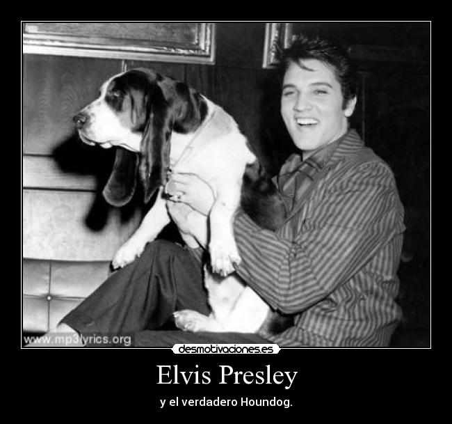 carteles houndog elvis presley 1958 desmotivaciones