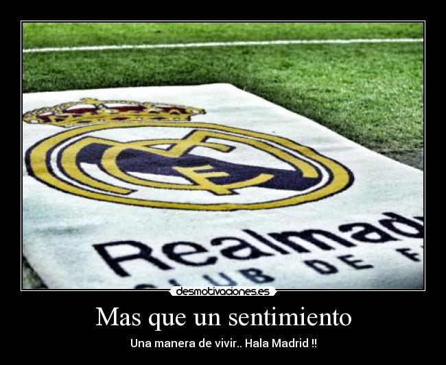 Mas que un sentimiento -