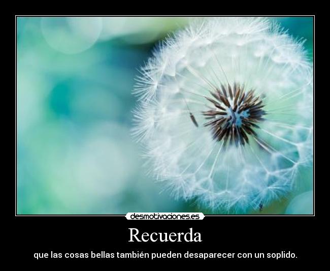 carteles desaparecer desmotivaciones