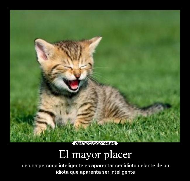 El mayor placer -