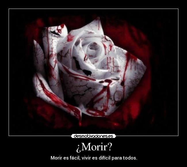 carteles morir vivir rosa desmotivaciones