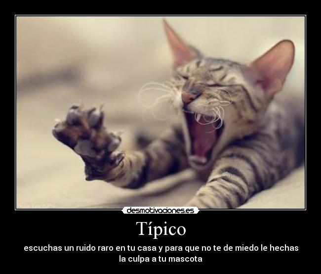 Típico -