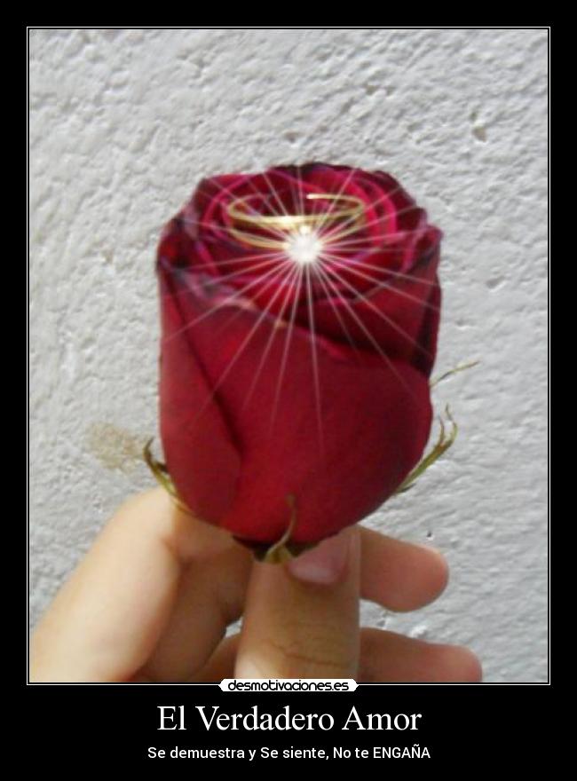 carteles amor yeriipao desmotivaciones