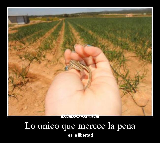 carteles desmotivaciones