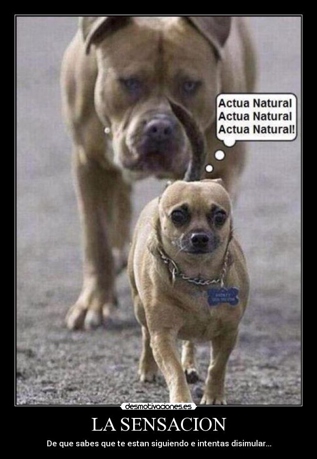 LA SENSACION - De que sabes que te estan siguiendo e intentas disimular...