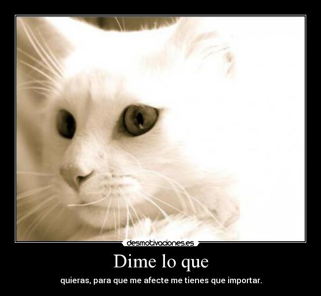 Dime lo que - quieras, para que me afecte me tienes que importar.
