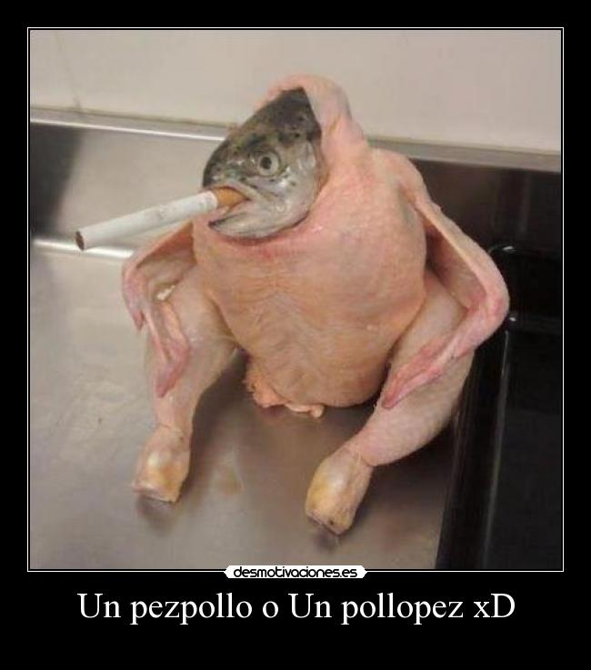 carteles tonteras varios todos otros desmotivaciones