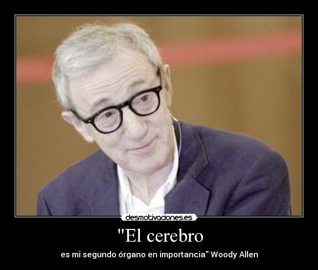 El cerebro - es mi segundo órgano en importancia Woody Allen