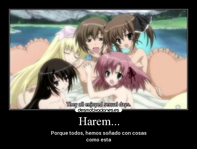 carteles seitokai ichizon anime harem mundo otaku mujeres hombres desmotivaciones