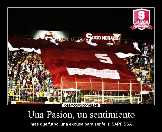 Una Pasion, un sentimiento - mas que futbol una excusa para ser feliz, SAPRISSA