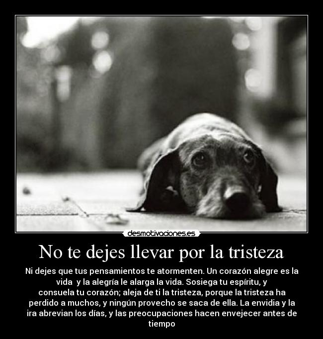 No te dejes llevar por la tristeza - Ni dejes que tus pensamientos te atormenten. Un corazón alegre es la
vida  y la alegría le alarga la vida. Sosiega tu espíritu, y
consuela tu corazón; aleja de ti la tristeza, porque la tristeza ha
perdido a muchos, y ningún provecho se saca de ella. La envidia y la
ira abrevian los días, y las preocupaciones hacen envejecer antes de
tiempo