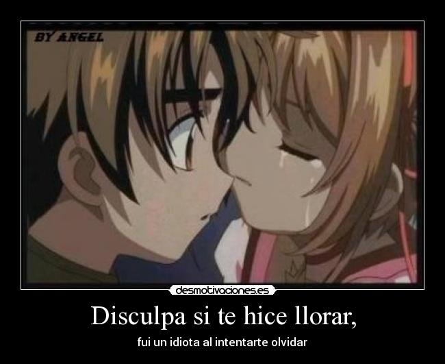 Disculpa si te hice llorar, -