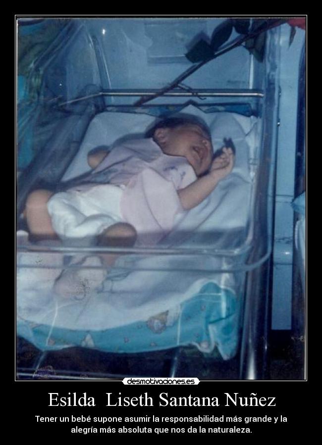 carteles bebes desmotivaciones