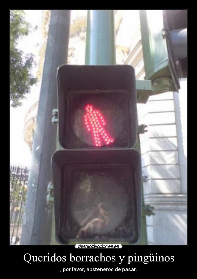 Queridos borrachos y pingüinos - 