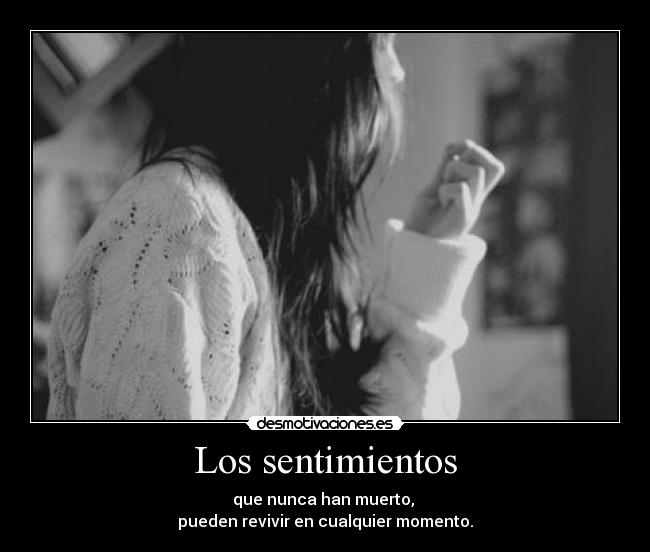 Los sentimientos -