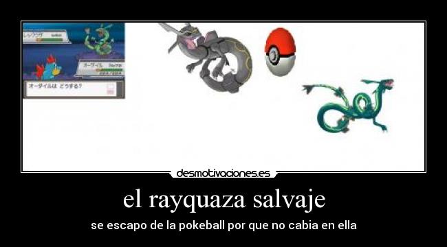 el rayquaza salvaje -