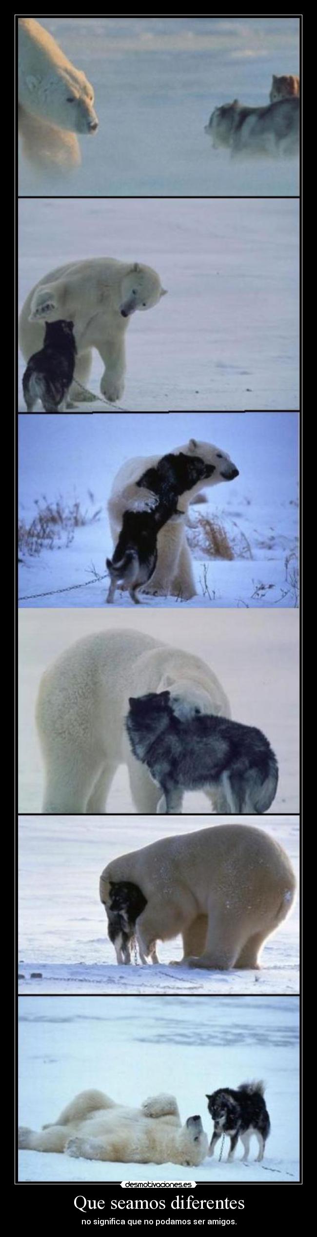 Que seamos diferentes - no significa que no podamos ser amigos.