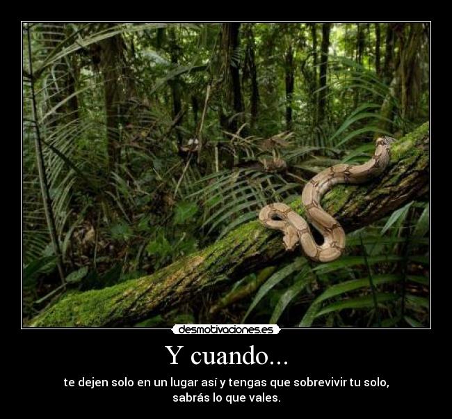 Y cuando... - te dejen solo en un lugar así y tengas que sobrevivir tu solo, sabrás lo que vales.