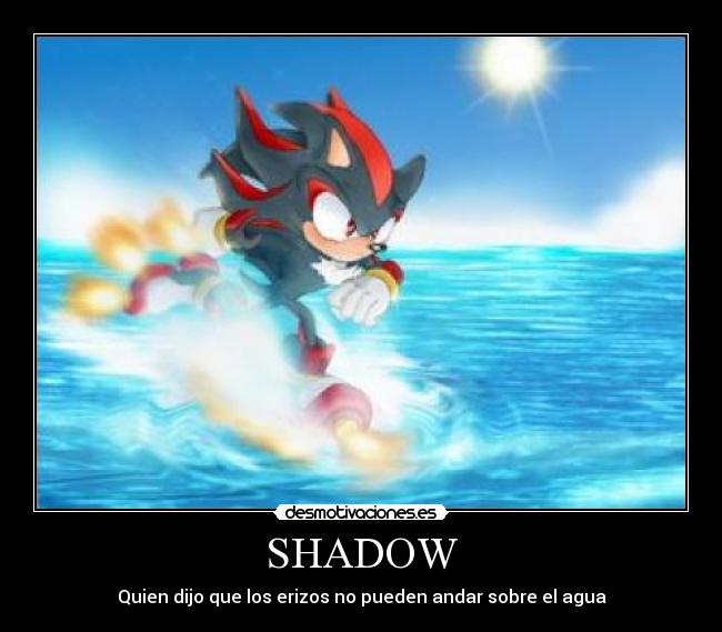 SHADOW - Quien dijo que los erizos no pueden andar sobre el agua