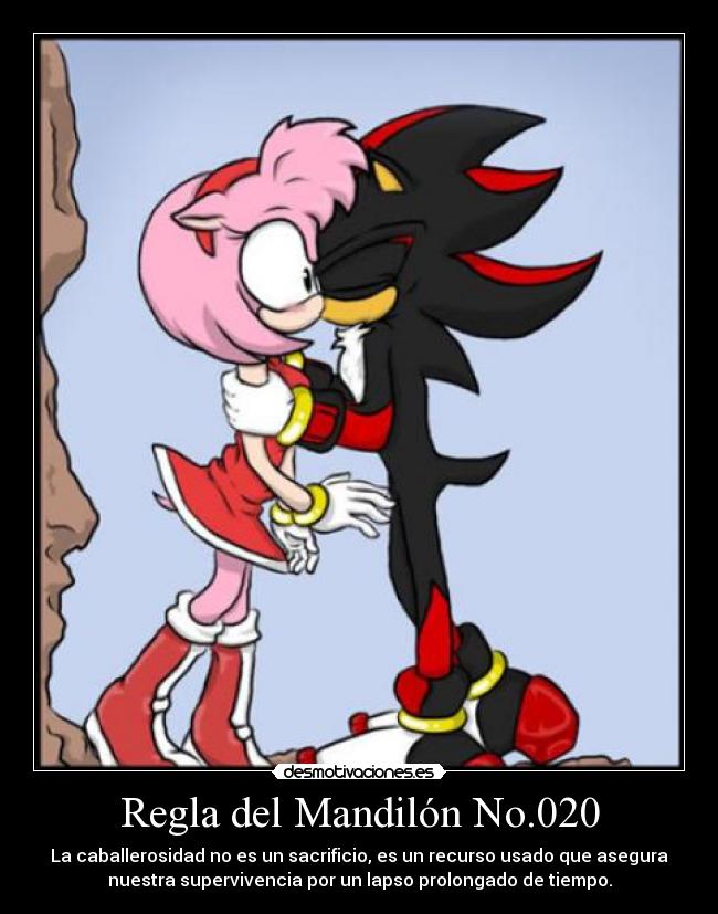 Regla del Mandilón No.020 -