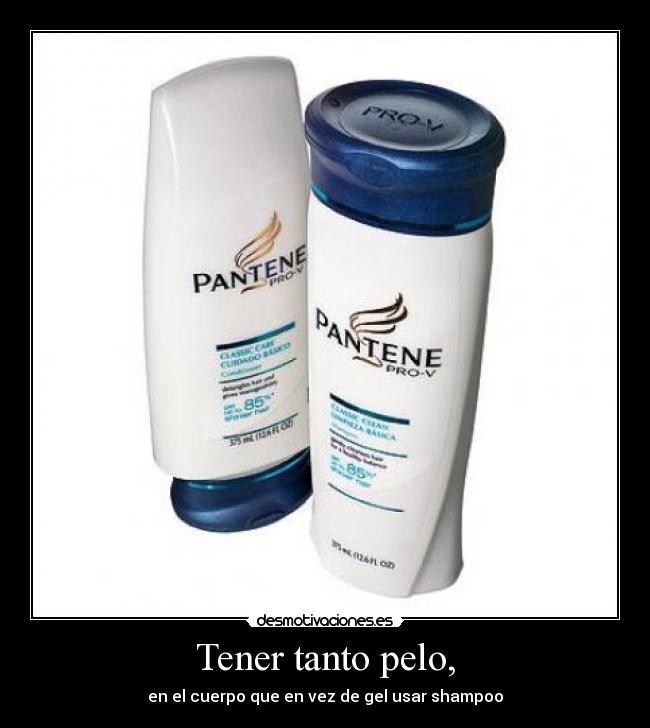 Tener tanto pelo, - en el cuerpo que en vez de gel usar shampoo