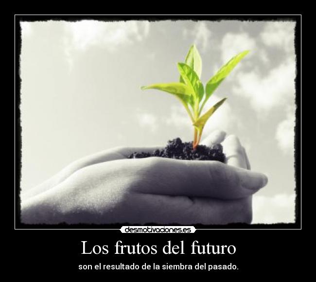 Los frutos del futuro - son el resultado de la siembra del pasado.