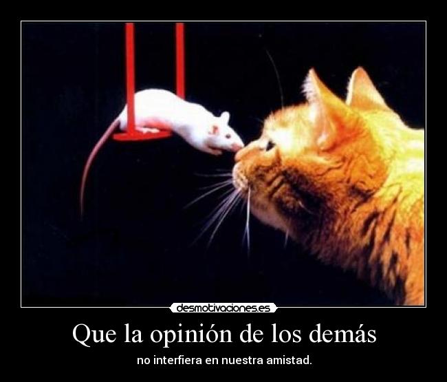 Que la opinión de los demás - 