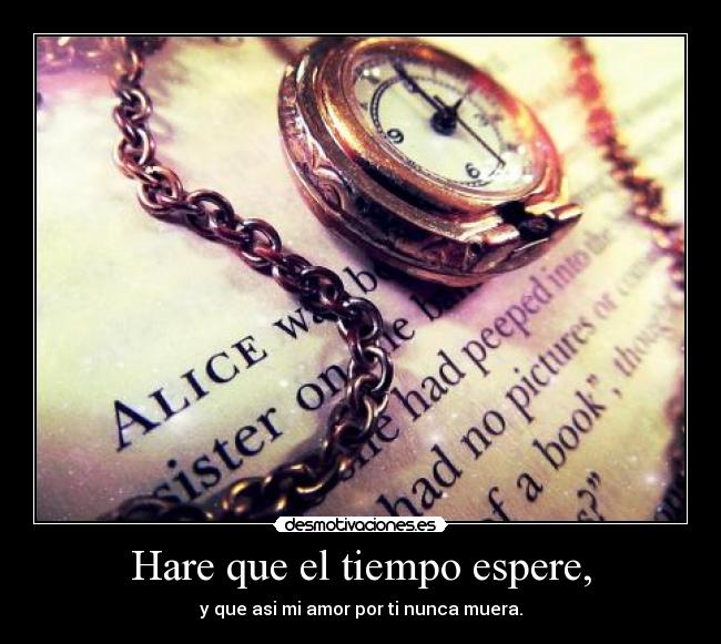 Hare que el tiempo espere, - y que asi mi amor por ti nunca muera.