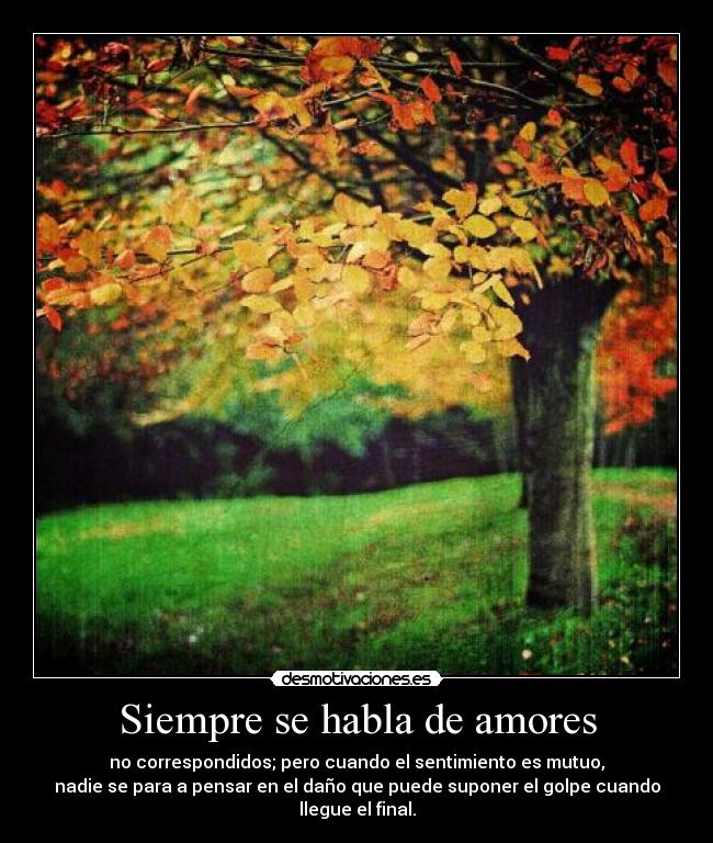 Siempre se habla de amores - no correspondidos; pero cuando el sentimiento es mutuo,
nadie se para a pensar en el daño que puede suponer el golpe cuando llegue el final.