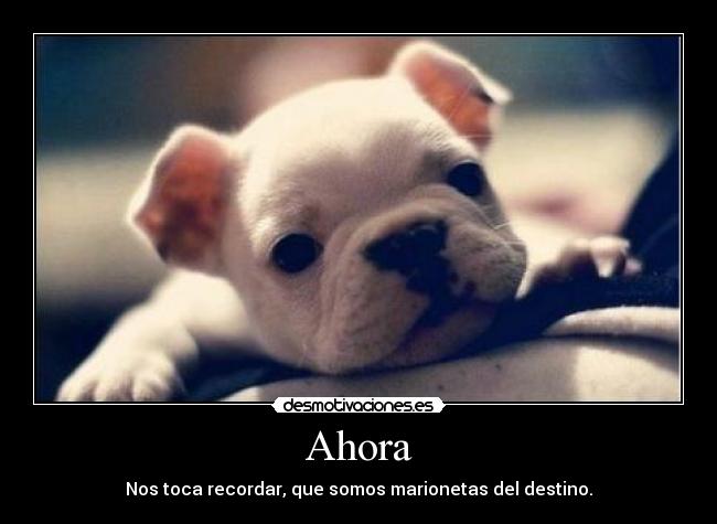 carteles una semana mes abril ciento setenta horas lado despistaos los dias contados destino desmotivaciones