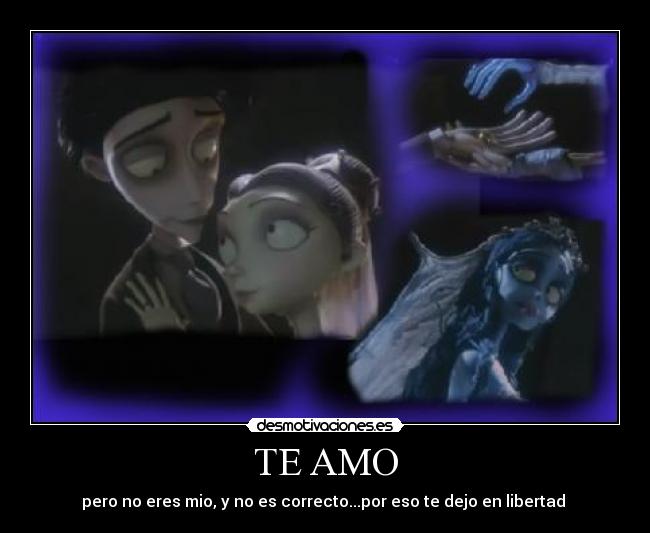 TE AMO - pero no eres mio, y no es correcto...por eso te dejo en libertad ♥