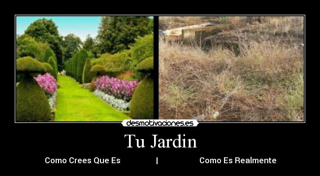 Tu Jardin -