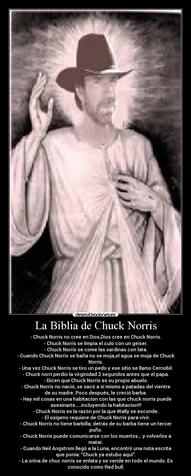 La Biblia de Chuck Norris - - Chuck Norris no cree en Dios,Dios cree en Chuck Norris.
- Chuck Norris se limpia el culo con un geiser.
- Chuck Norris se come las sardinas con lata.
- Cuando Chuck Norris se baña no se moja,el agua se moja de Chuck
Norris.
- Una vez Chuck Norris se tiro un pedo y ese sitio se llamo Cernobil.
- Chuck norri perdio la virginidad 2 segundos antes que el papa.
- Dicen que Chuck Norris es su propio abuelo.
- Chuck Norris no nació, se sacó a sí mismo a patadas del vientre
de su madre. Poco después, le creció barba.
- Hay mil cosas en una habitacion con las que chuck norris puede
asesinarte…..incluyendo la habitacion!!!
- Chuck Norris es la razón por la que Wally se esconde.
- El oxígeno requiere de Chuck Norris para vivir.
- Chuck Norris no tiene barbilla; detrás de su barba tiene un tercer
puño.
- Chuck Norris puede comunicarse con los muertos… y volverlos a
matar.
- Cuando Neil Angstrom llegó a la Luna, encontró una nota escrita
que ponía: “Chuck ya estubo aquí”.
- La orina de chuc norris se enlata y se vende en todo el mundo. Es
conocido como Red bull.