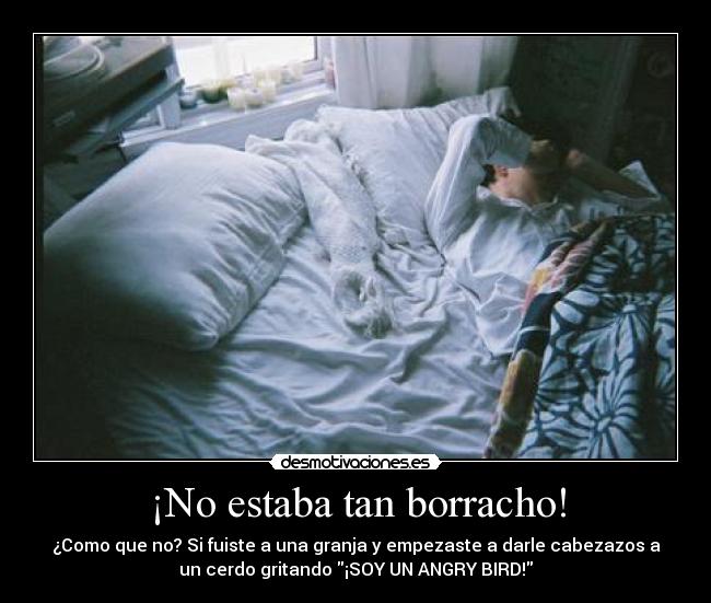 ¡No estaba tan borracho! - 