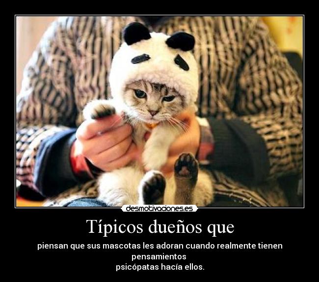 Típicos dueños que - piensan que sus mascotas les adoran cuando realmente tienen pensamientos
psicópatas hacía ellos.