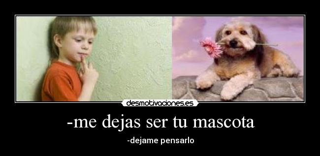 -me dejas ser tu mascota - -dejame pensarlo