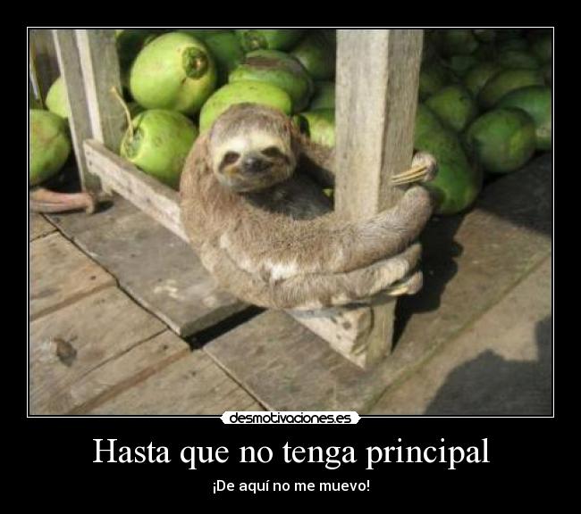 Hasta que no tenga principal - 