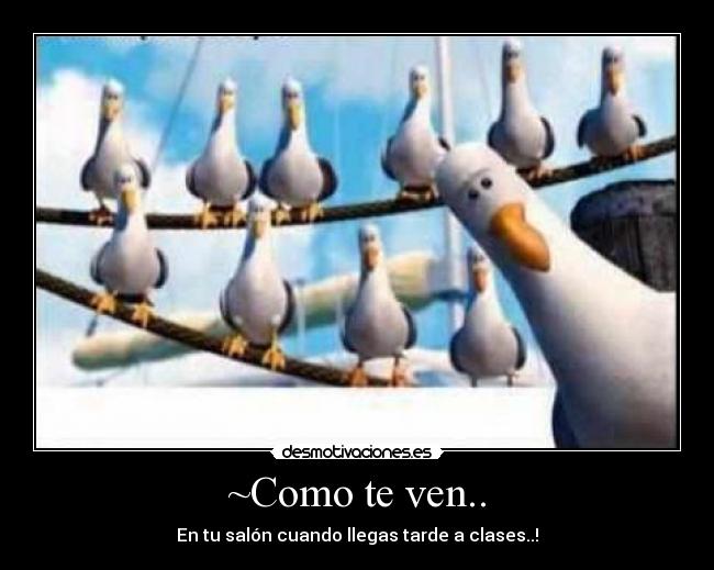 ~Como te ven.. -