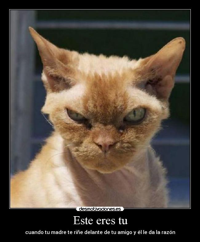 Este eres tu - cuando tu madre te riñe delante de tu amigo y él le da la razón