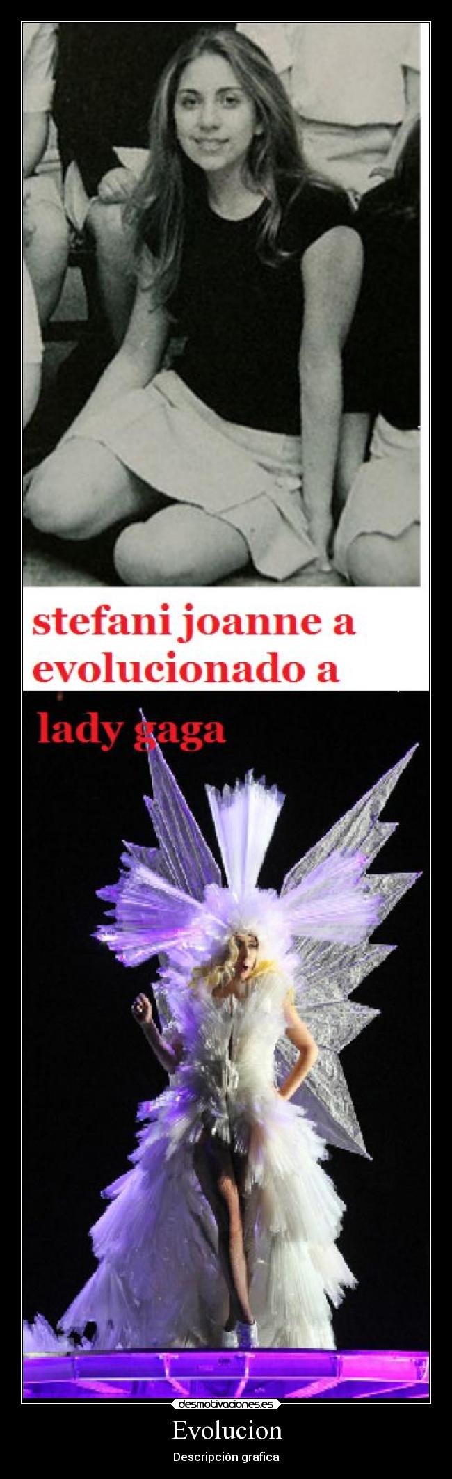 Evolucion - Descripción grafica