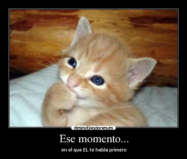 carteles habla desmotivaciones