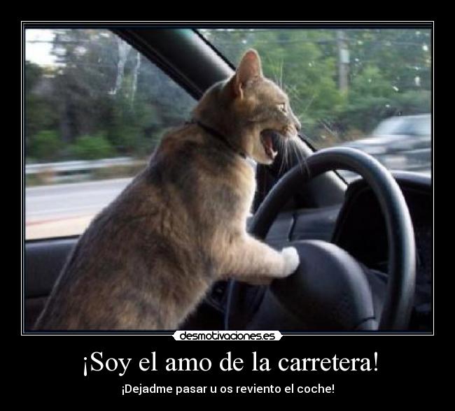 ¡Soy el amo de la carretera! -
