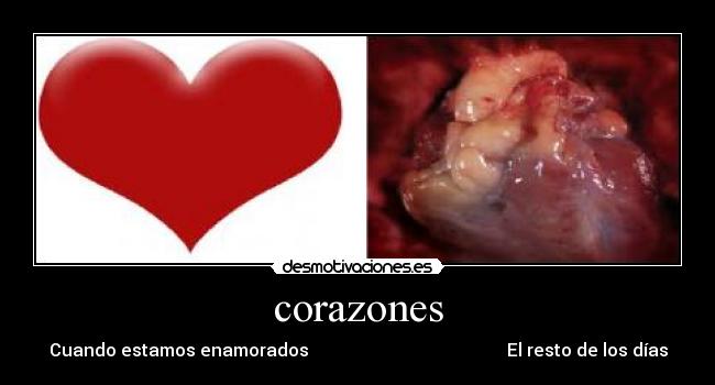 corazones - 