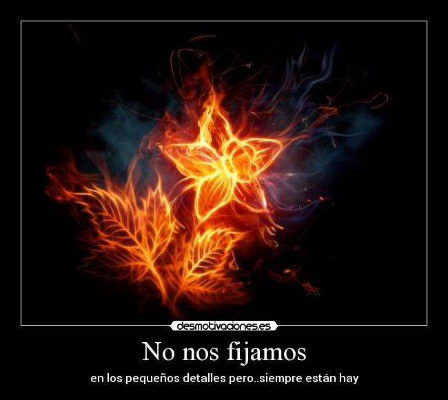 No nos fijamos - en los pequeños detalles pero..siempre están hay